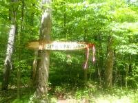 /home//u458753944/public_html/sourcegallery////////////////other/races/Charlie Horse 2023/P5280898.JPG